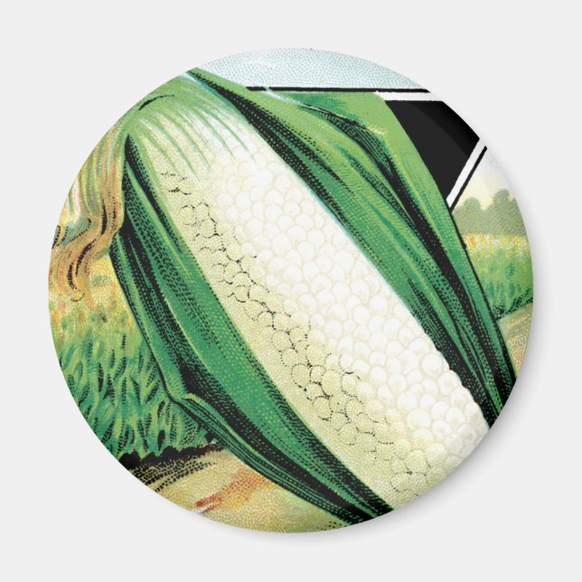 Vintage utsädespaket etikett konst, söt vit majs magnet (Framsidan)