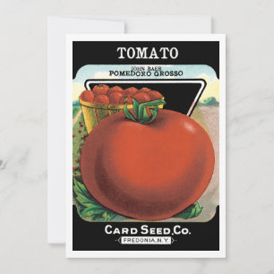 Vintage utsädespaket etikett konst, Tomat Pomodoro