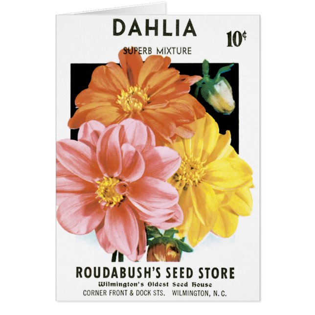 Vintage utsädespaket konst, Dahlia trädgårdsblommo Hälsningskort (Framsidan)