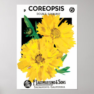 Vintage utsädespaket konst, gula Coreopsis blommor Poster