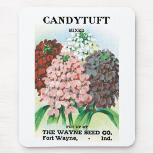 Vintage utsädespaket konst, trädgårdsblommor av Ca Musmatta