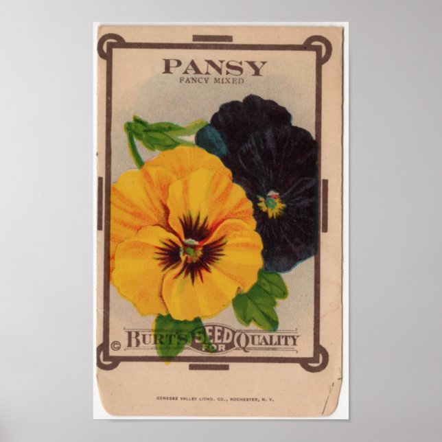 Vintage Utsädespaket Poster (Framsidan)