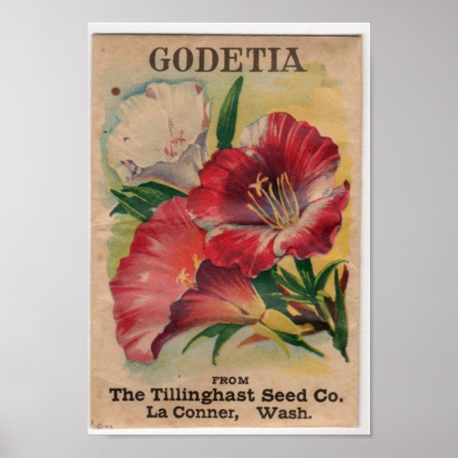 Vintage Utsädespaket Poster (Framsidan)