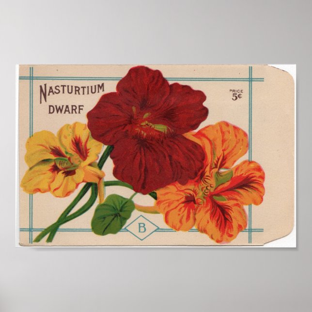 Vintage Utsädespaket Poster (Framsidan)