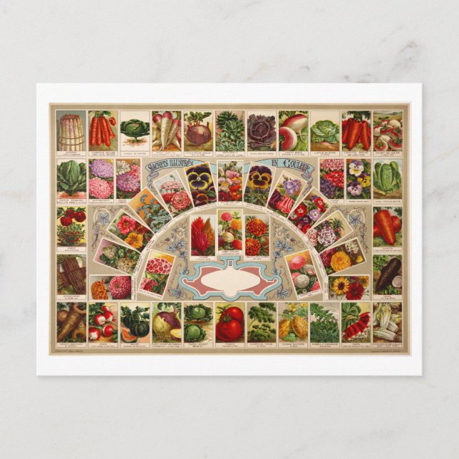 Vintage Utsädespaket Vykort (Framsida)