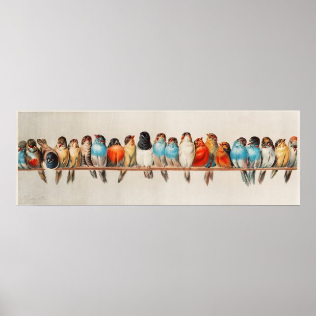 Vintage - utskrift av fåglar poster (Framsidan)