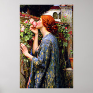 Vintage vacker blomma Dam och Rosa ros Poster