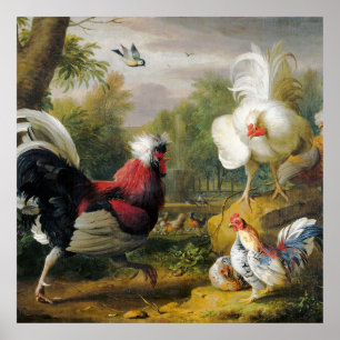 Vintage Vacker Cockrels Fight Poster
