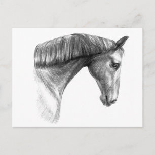 Vintage Vacker Mörk Horse Vykort