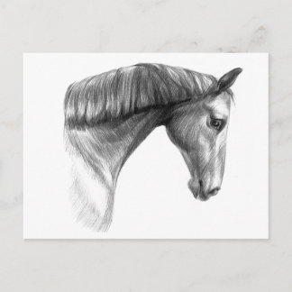 Vintage Vacker Mörk Horse Vykort