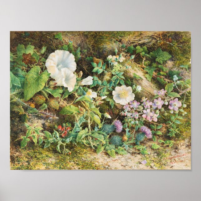 Vintage vackra petunior blommor blomkonst poster (Framsidan)