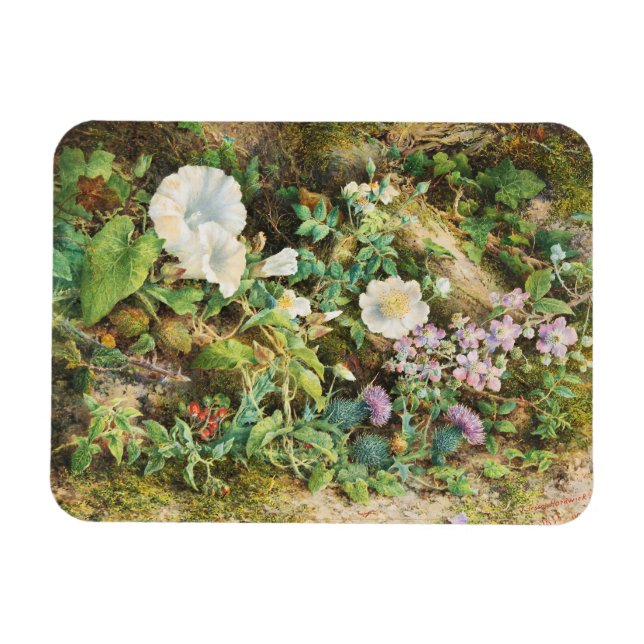 Vintage vackra petunior blommor blomsterkonst magnet (Horisontell)