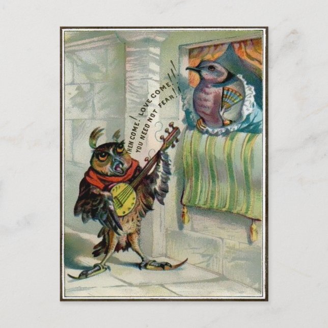 Vintage Valentine Uggla Vykort (Framsida)