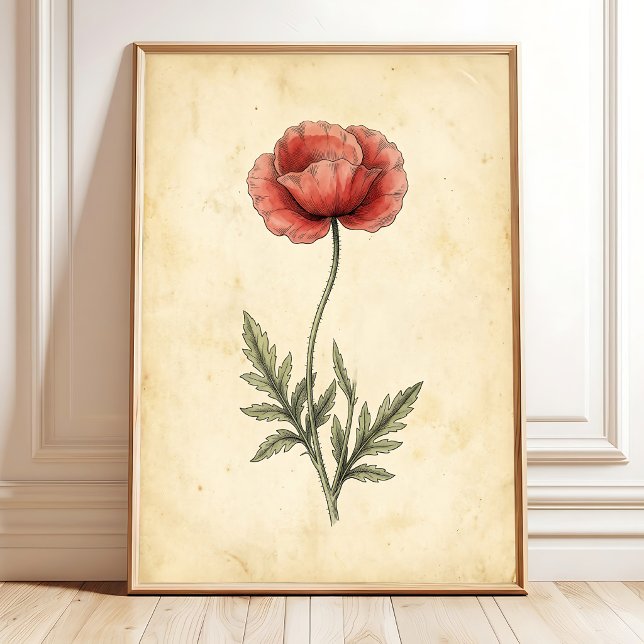 Vintage Vallmo Art Print Canvas Poster (Skapare uppladdad)