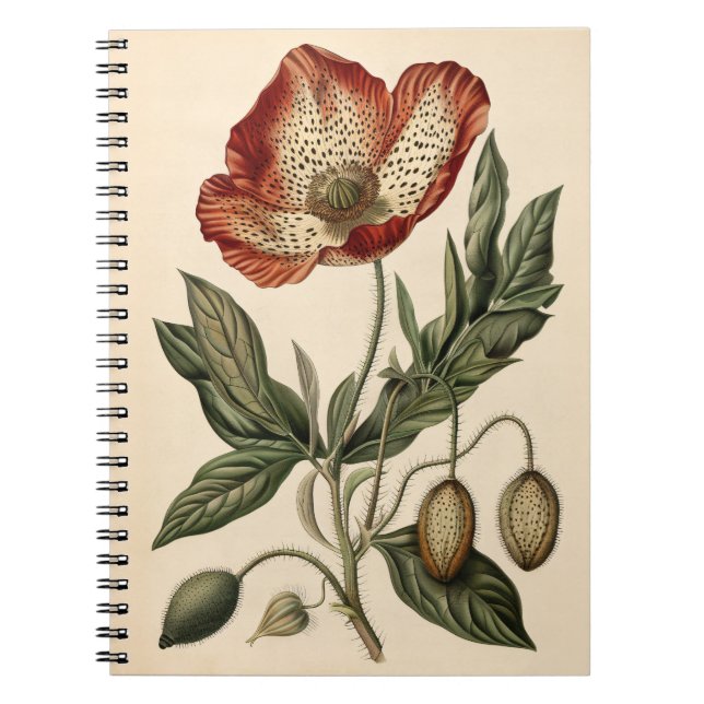 Vintage Vallmo Botanisk Illustration Anteckningsbok (Framsidan)