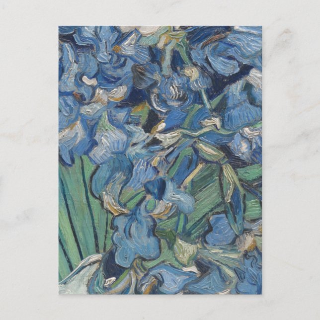 Vintage Van Gogh Irises Vykort (Framsida)