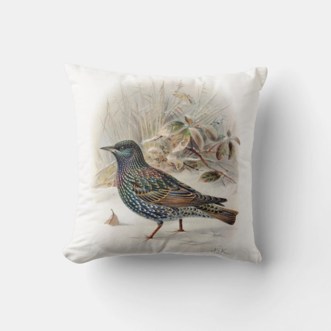 Vintage Vanligt Starling Bird Kudde (Framsida)