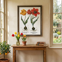 Vintage vår tulpan blommor av Basilius Besler Poster