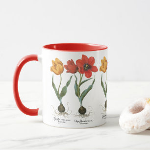 Vintage Vår Tulpaner av Basilius Besler Mugg