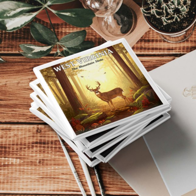 Vintage Väster Virginia Magnet (Skapare uppladdad)