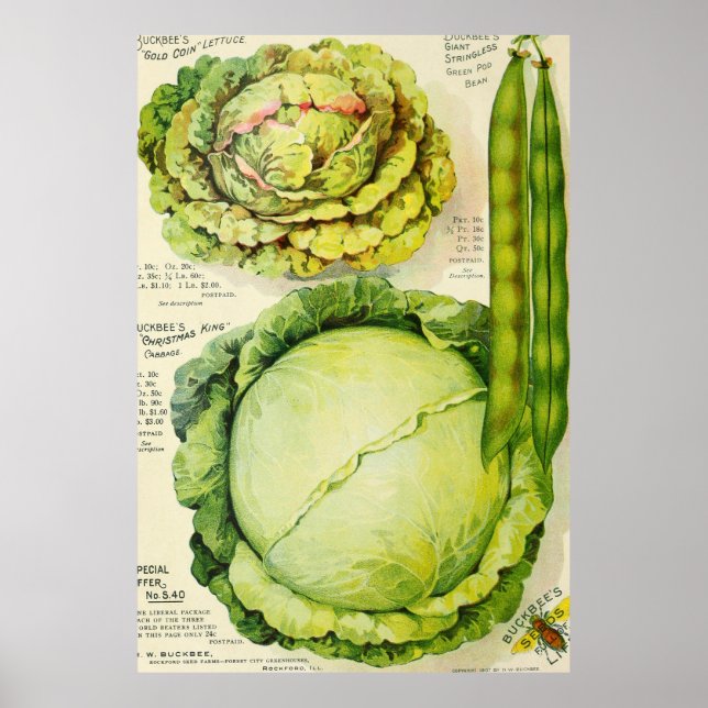 Vintage Vegetable Annons (1907) Poster (Framsidan)