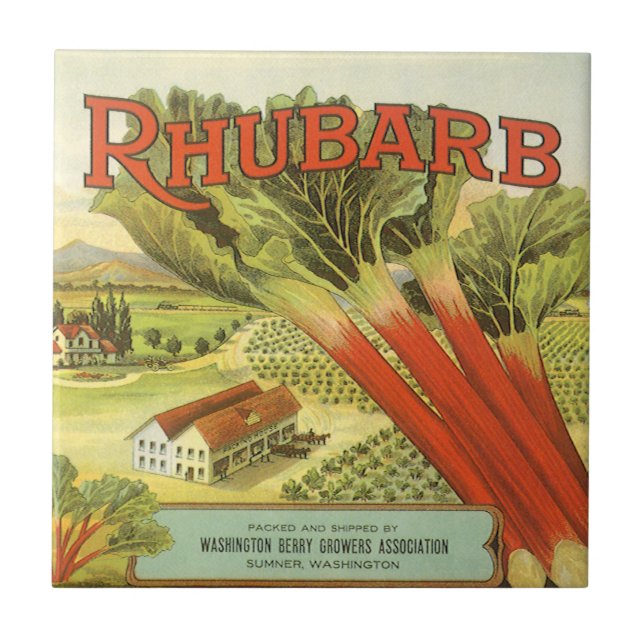 Vintage Vegetable Can Label Art, Rhubarb Farm Kakelplatta (Framsidan)