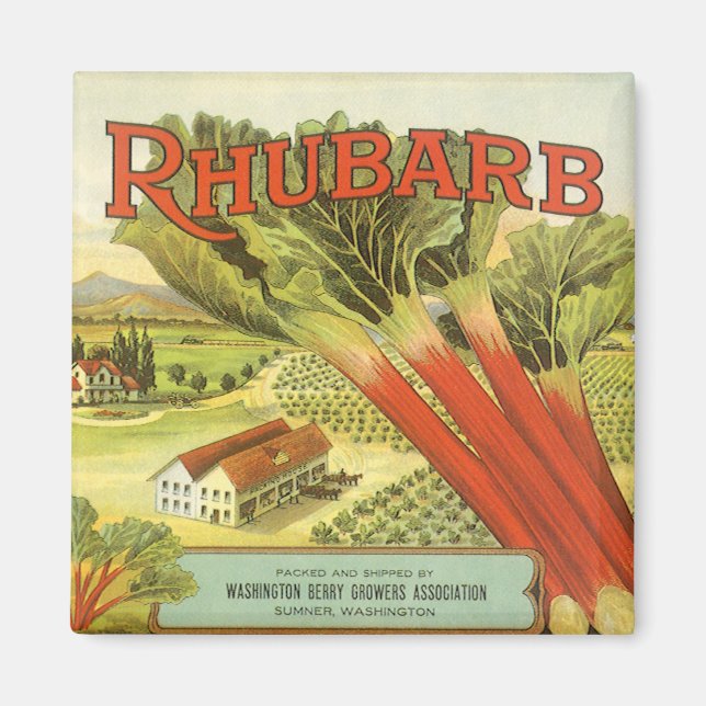 Vintage Vegetable Can Label Art, Rhubarb Farm Magnet (Framsidan)