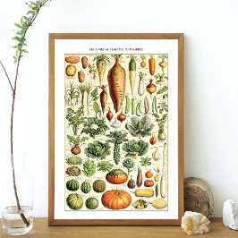 Vintage Vegetable Chart Adolphe Millot Poster