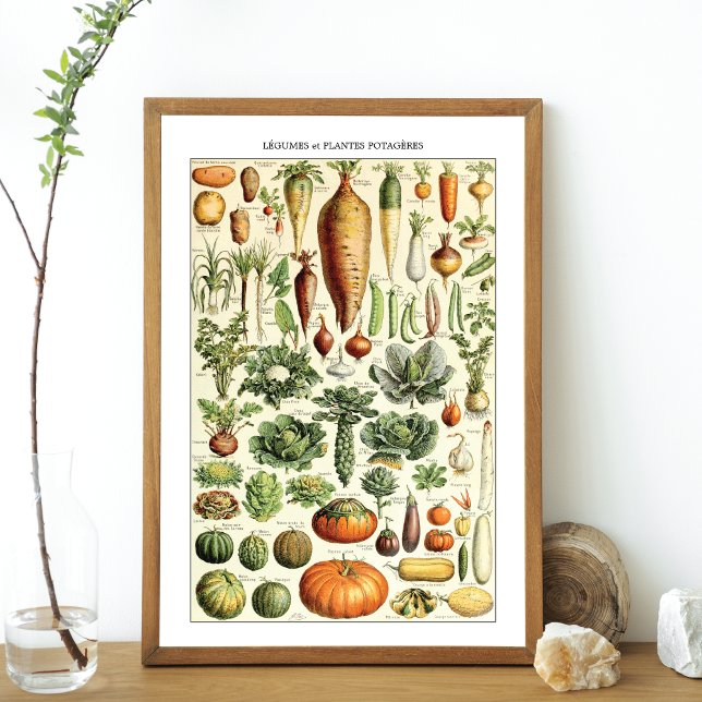 Vintage Vegetable Chart Adolphe Millot Poster (Skapare uppladdad)