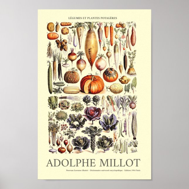 Vintage Vegetable Wall Art av Adolphe Millot Poster (Framsidan)