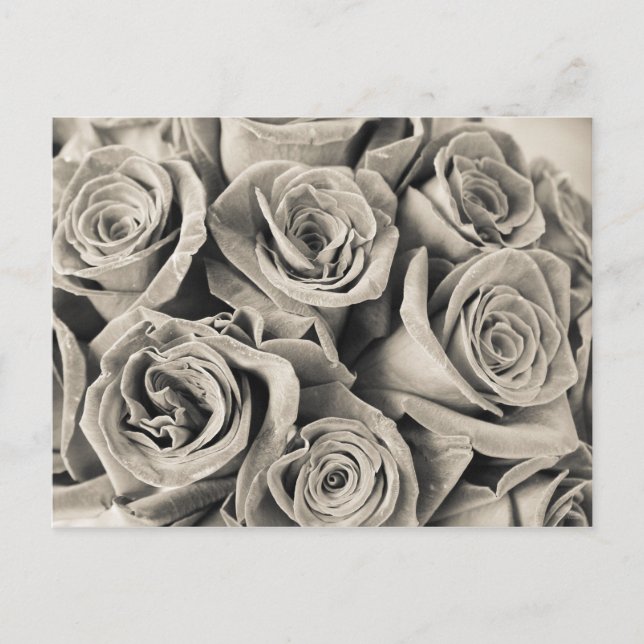 Vintage Velvet Beauty Vykort (Framsida)