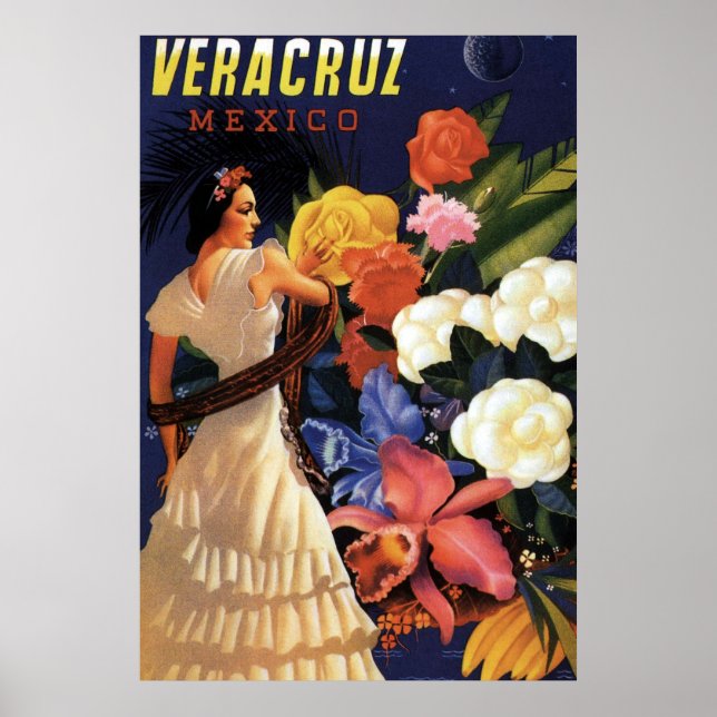 Vintage Veracruz Mexico Travel Poster (Framsidan)