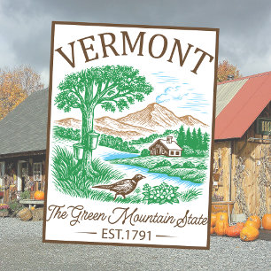 Vintage Vermont USA Amerika Resa Konst Souvenir Vykort