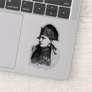Vintage Vibes for Timless Appeal: Napoleon Klistermärken