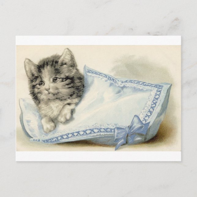 Vintage Victorian Cat Kitten Vykort (Framsida)