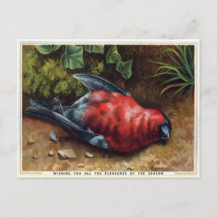 Vintage Victorian Dead Bird-jul Vykort