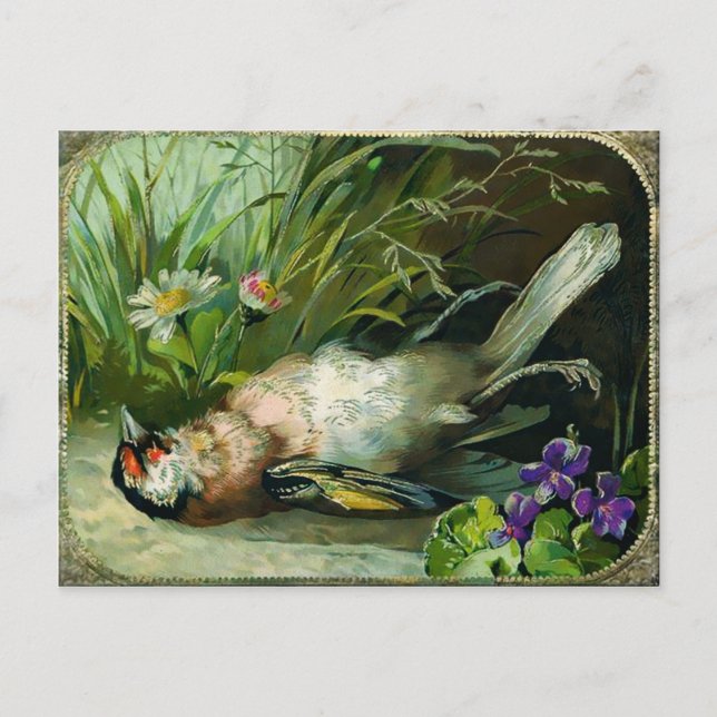 Vintage Victorian Dead Bird-jul Vykort (Framsida)