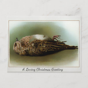 Vintage Victorian Dead Bird-jul Vykort