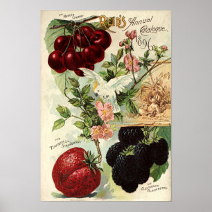 Vintage Victorian Era Reids skyddskatalogskydd Poster