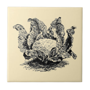 Vintage Victorian Era Vegetable Cauliblomma Kakelplatta