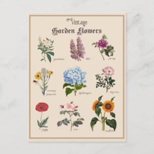 Vintage Victorian Garden Flower Blommigt Vykort