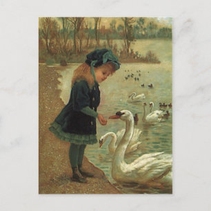 VINTAGE VICTORIAN Matar Trumpeter Svanar POSTCARD Vykort