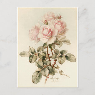 Vintage Victorian Romantic Ro Vykort