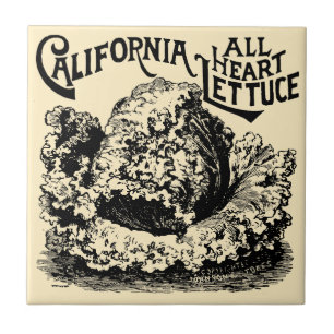 Vintage Viktorian Era Fruit & Vegetable Lettuce Ad Kakelplatta