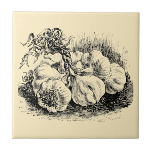 Vintage Viktorian Era Fruit & Vegetable Vitlass Ad Kakelplatta