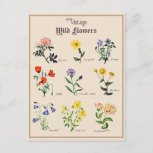 Vintage Viktoriansk Vild Flower Blommigt Vykort