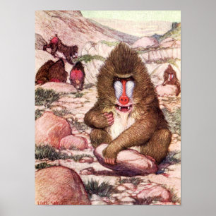 Vintage Vild Animal, Baboons av Louis Sargent Poster