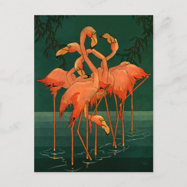 Vintage Vild Djurfåglar, tropiska Rosan Flamingos Vykort (Framsida)
