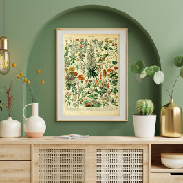 Vintage Vild Flowers Meadow Plants Poster