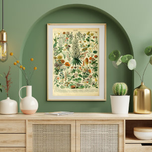 Vintage Vild Flowers Meadow Plants Poster